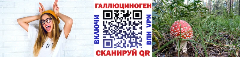 Псилоцибиновые грибы прущие грибы  hydra как зайти  Саки 