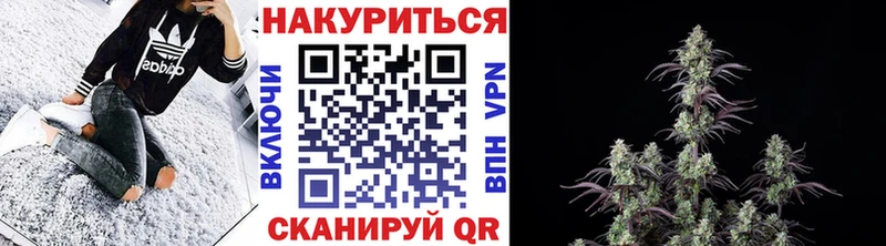 hydra ТОР Саки Бошки марихуана гибрид